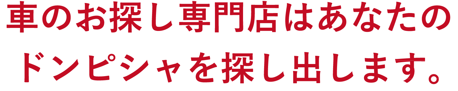 車のお探し専門店